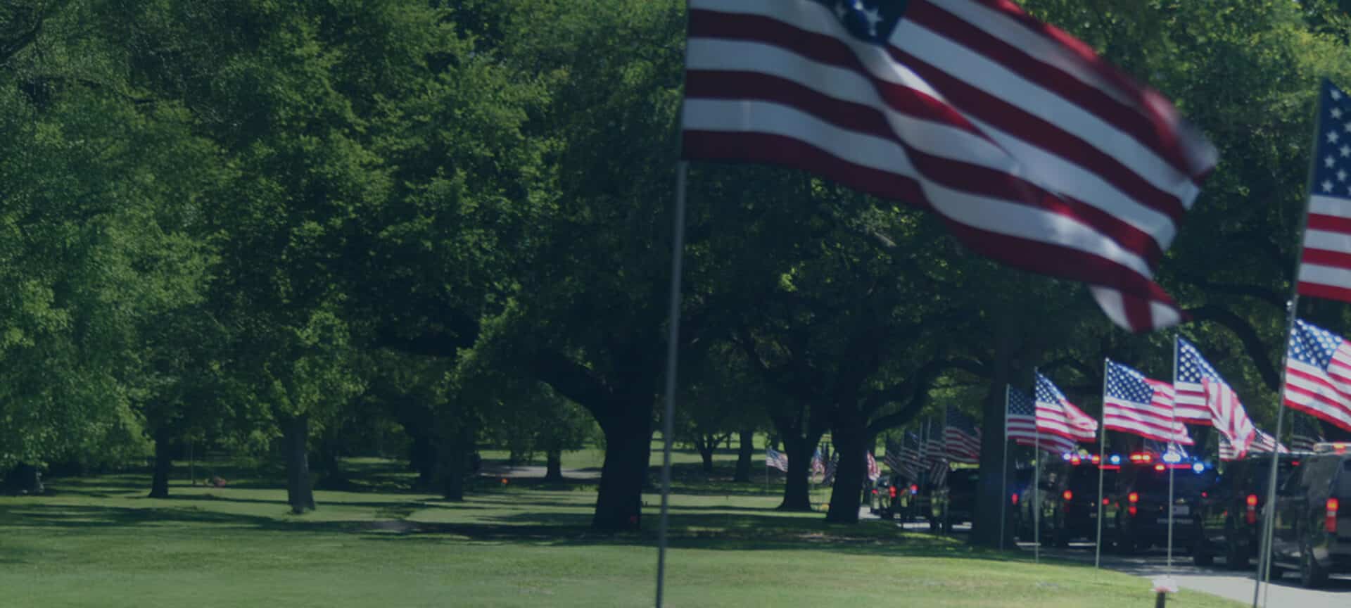 american flags in grassy field